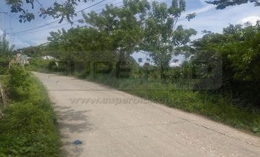 TERRENO URBANO OLIVO LOTE D DE 16071 M2