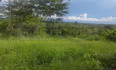 TERRENO URBANO OLIVO LOTE D DE 16071 M2