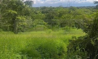 TERRENO URBANO OLIVO LOTE D DE 16071 M2