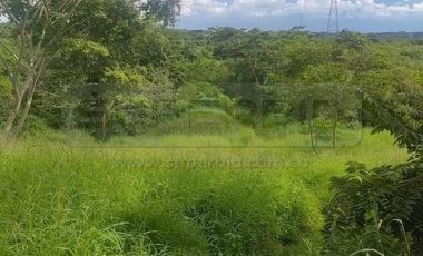 TERRENO URBANO OLIVO LOTE D DE 16071 M2