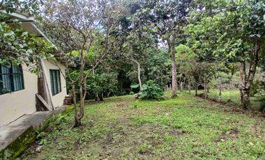 Área alquila y vende casa campestre en Parcelación Los Alpes Popayán