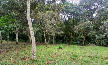 Área alquila y vende casa campestre en Parcelación Los Alpes Popayán