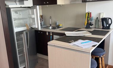 Se arrienda DP 1 d Portugal, amoblado, Santiago