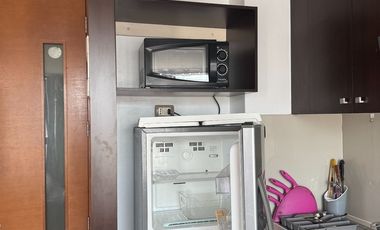 Se arrienda DP 1 d Portugal, amoblado, Santiago