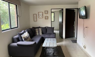 DEPARTAMENTO EN RENTA EN COLONIA BUENAVISTA