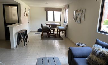 DEPARTAMENTO EN RENTA EN COLONIA BUENAVISTA
