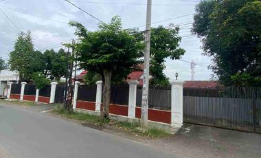 Rumah sewa tahunan