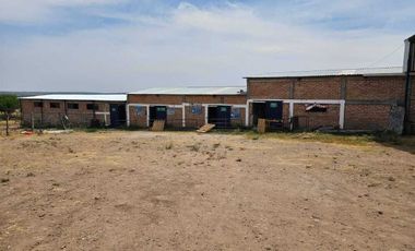 RANCHO EN VENTA PARA CRIA DE GANADO