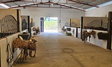 RANCHO EN VENTA PARA CRIA DE GANADO