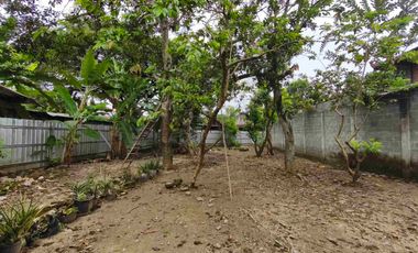 rumah strategis di BLORA