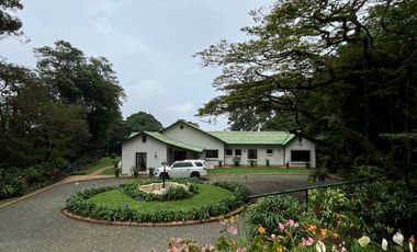 Venta Finca exclusiva en el corregimiento Felidia