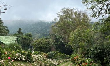 Venta Finca exclusiva en el corregimiento Felidia