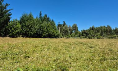 Parcela de 2,5 has en Villarrica