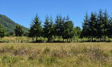Parcela de 2,5 has en Villarrica