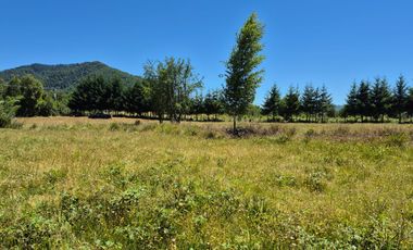 Parcela de 2,5 has en Villarrica
