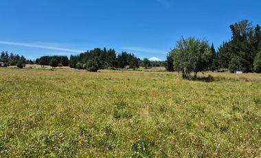 Parcela de 2,5 has en Villarrica