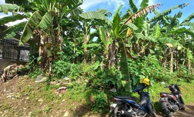 Jual Cepat 2 Tanah Kavling Total 205 M Di Cluster Depan Perumahan Bukit Cimanggu City Akses TOL