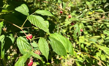 Moderna Casa En Condominio, Iluminada A 4km De Villarrica
