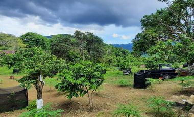 Dijual Kebun Buah yang masih aktif ditanami sangat BU - Butuh Uang di Kota Sabang