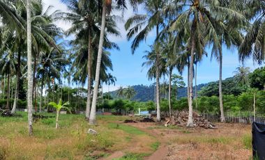 Dijual Kebun Buah yang masih aktif ditanami sangat BU - Butuh Uang di Kota Sabang