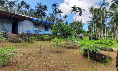Dijual Kebun Buah yang masih aktif ditanami sangat BU - Butuh Uang di Kota Sabang