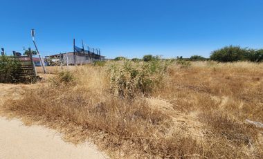 Se vende Parcela en Valles de Marchigue, Marchigue
