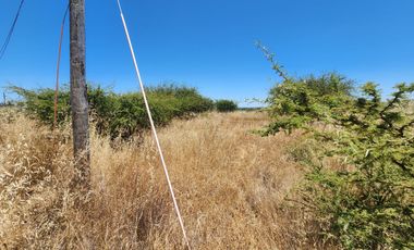 Se vende Parcela en Valles de Marchigue, Marchigue