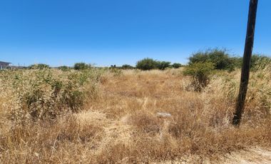 Se vende Parcela en Valles de Marchigue, Marchigue