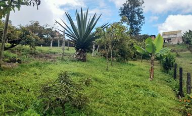 VENTA DE ACOGEDORA FINCA DE DESCANSO, CON ARBOLES FRUTALES, ESCRITURA AL 100%, CERCA A RIONEGRO, MARINILLA, ANTIOQUIA