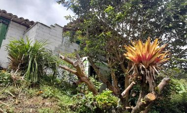 VENTA DE ACOGEDORA FINCA DE DESCANSO, CON ARBOLES FRUTALES, ESCRITURA AL 100%, CERCA A RIONEGRO, MARINILLA, ANTIOQUIA