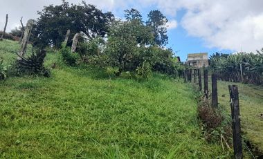 VENTA DE ACOGEDORA FINCA DE DESCANSO, CON ARBOLES FRUTALES, ESCRITURA AL 100%, CERCA A RIONEGRO, MARINILLA, ANTIOQUIA