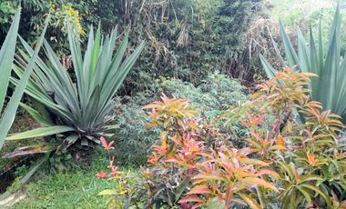 VENTA DE ACOGEDORA FINCA DE DESCANSO, CON ARBOLES FRUTALES, ESCRITURA AL 100%, CERCA A RIONEGRO, MARINILLA, ANTIOQUIA