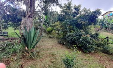 VENTA DE ACOGEDORA FINCA DE DESCANSO, CON ARBOLES FRUTALES, ESCRITURA AL 100%, CERCA A RIONEGRO, MARINILLA, ANTIOQUIA