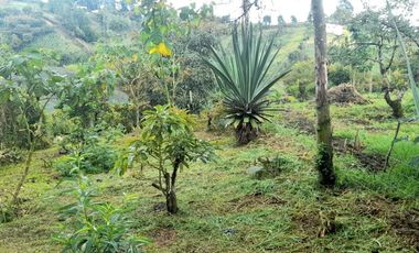 VENTA DE ACOGEDORA FINCA DE DESCANSO, CON ARBOLES FRUTALES, ESCRITURA AL 100%, CERCA A RIONEGRO, MARINILLA, ANTIOQUIA