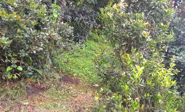 VENTA DE ACOGEDORA FINCA DE DESCANSO, CON ARBOLES FRUTALES, ESCRITURA AL 100%, CERCA A RIONEGRO, MARINILLA, ANTIOQUIA