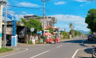 Tanah dan toko di pinggir jalan Pagutan Mataram