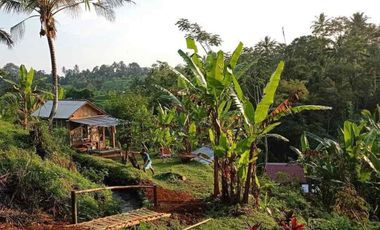 kontrakan tanah penebel dekat jatiluwih