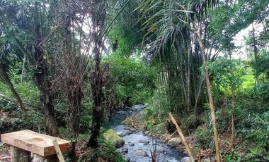 kontrakan tanah penebel dekat jatiluwih
