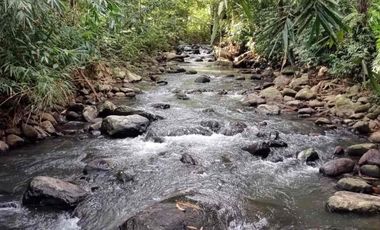 kontrakan tanah penebel dekat jatiluwih