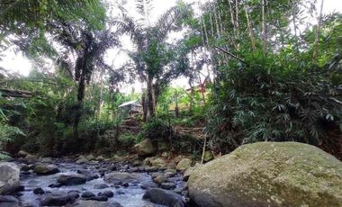 kontrakan tanah penebel dekat jatiluwih