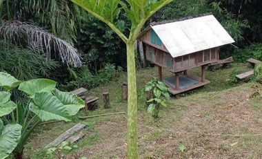 kontrakan tanah penebel dekat jatiluwih