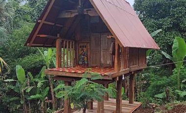 kontrakan tanah penebel dekat jatiluwih