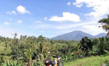 kontrakan tanah penebel dekat jatiluwih