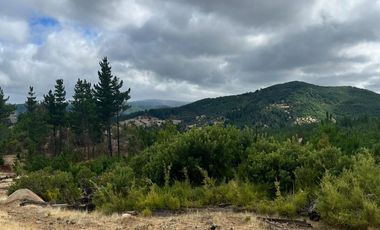 Parcela semi despejada con vista al valle en Cauquenes - Club de Campo Cauquenes