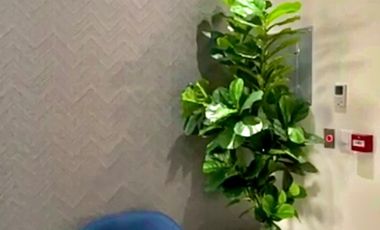 Oficina en RENTA, Torre Albia