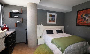 Departamento en Renta en Parque Veneto