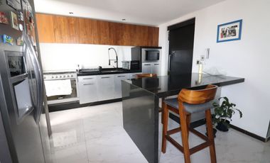 Departamento en Renta en Parque Veneto