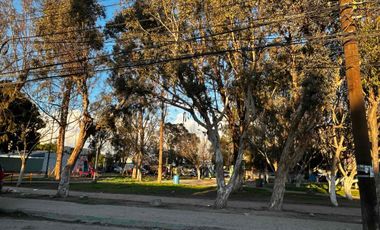 RENTO depa 3 recámaras, recién remodelado