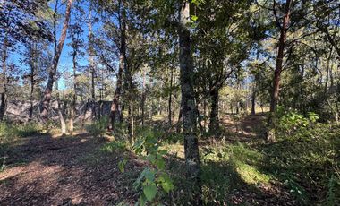 Terreno en venta en Huasca, Hidalgo.