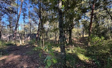 Terreno en venta en Huasca, Hidalgo.